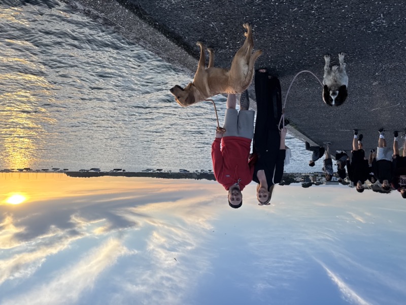 Scott, Rocket, Steph and Bonnie — the Off and On team